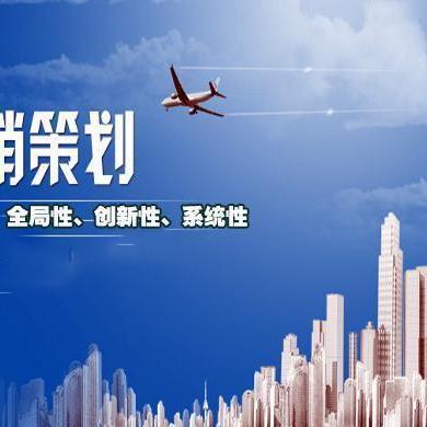 營(yíng)銷策劃 制勝市場(chǎng)的藍(lán)圖與引擎